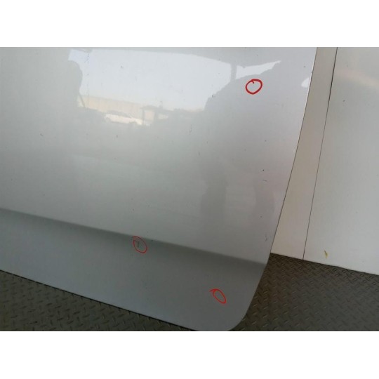 PORTA ANTERIORE SINISTRA FIAT F.Punto Evo 2009>2012 usato