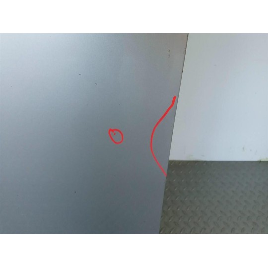 PORTA ANTERIORE SINISTRA SUZUKI Swift 2005>2009 usato