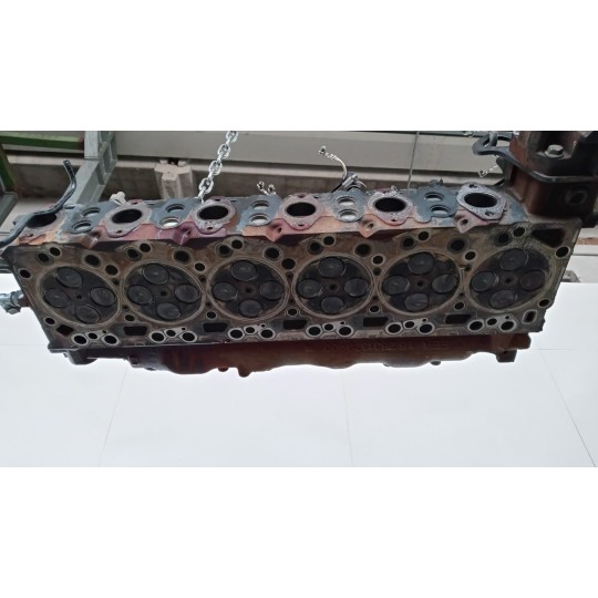 TESTATA IVECO EUROCARGO 2005>2008 usato