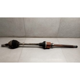 SEMIASSE ANTERIORE DESTRO...