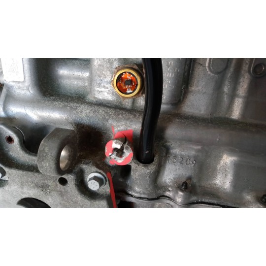 MOTORE FORD van Transit/Tourneo Connect 2013> usato