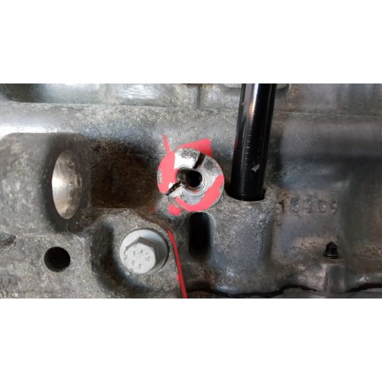 ENGINE FORD van Transit/Tourneo Connect 2013> used