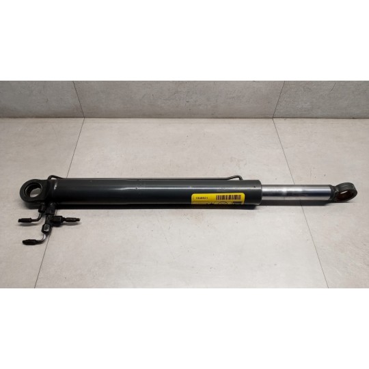 PISTONE ALZA CABINA SCANIA Serie R 2014> usato