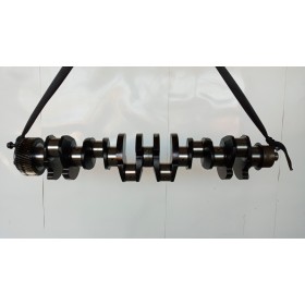 ALBERO MOTORE IVECO Stralis...