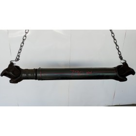 ALBERO TRASMISSIONE...