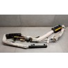 AIR BAG TETTO DESTRO HYUNDAI Santa Fe 2006>2009 usato