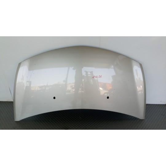FRONT HOODS RENAULT Clio 2005>2009 used