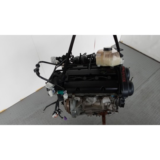MOTORE FORD Fiesta 2008>2013 usato