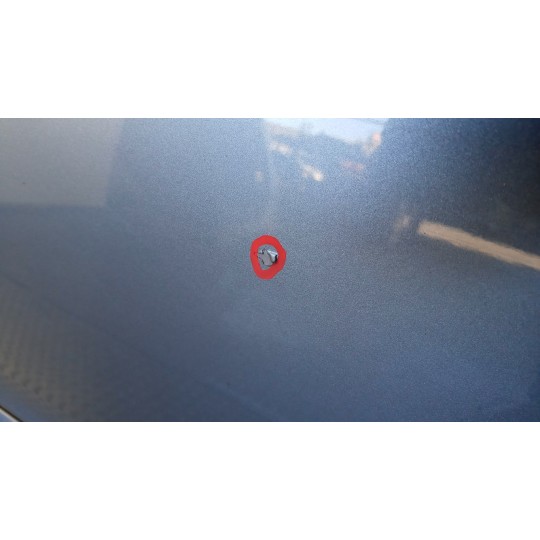 PORTA POSTERIORE SINISTRA OPEL Zafira B 2005>2008 usato