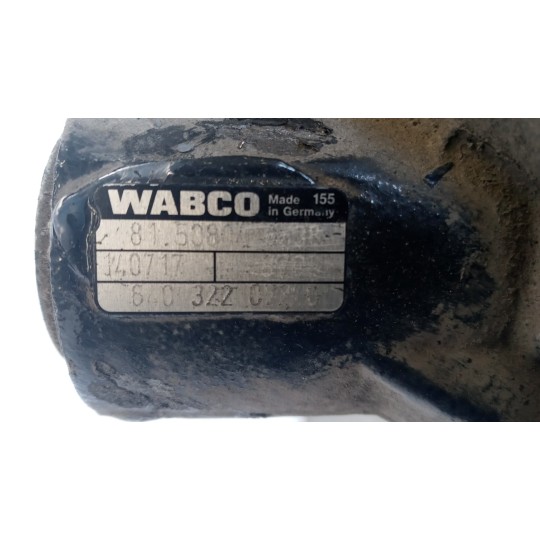 PINZA POSTERIORE DESTRA MAN TGX euro 6 usato