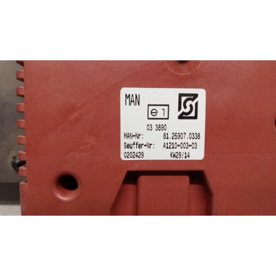 CENTRALINE VARIE A MAN TGX euro 6 usato