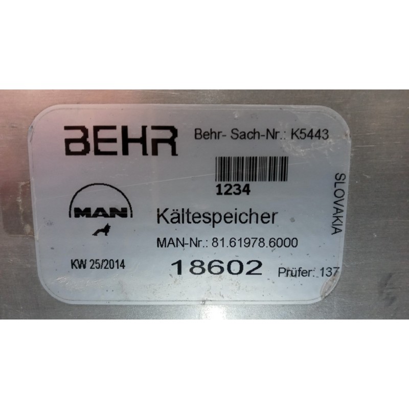 MAN AIR TANK MAN TGX euro 6 used